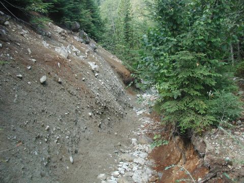 1985 Ford Bronco - A landslide has occurred on a wooded hillside, exposing loose soil and rocks. A narrow path or creek bed runs through the debris.
