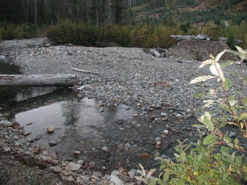 1985 Ford Bronco - A natural scene of a rocky stream bed with a fallen log spanning the water. Lush green foliage and trees line the background.