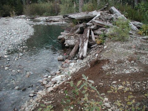 1985 Ford Bronco - A pile of weathered logs and debris is situated on the bank of a clear, rocky stream. Trees and foliage surround the scene.