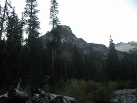 1985 Ford Bronco - A rocky mountain peak rises above a dense evergreen forest. Fallen logs lie in the foreground near a stream.