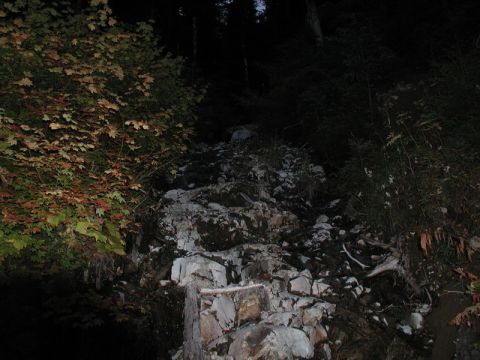 1985 Ford Bronco - A rocky slope in a forest at night, with trees and foliage on either side. The ground is covered in large and small rocks, with some vegeta…