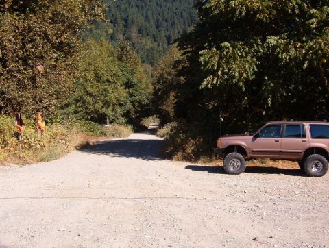 1985 Ford Bronco - A lifted, tan SUV is parked on a gravel road surrounded by trees. The road forks ahead, leading into a wooded area.