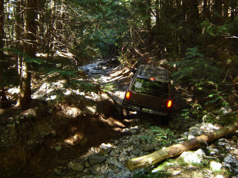 Dark brown Ford Bronco driving on a rocky, wooded trail.