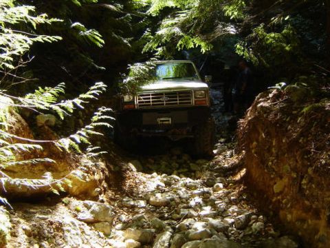 1985 Ford Bronco - A white Ford Bronco navigates a rocky, overgrown trail surrounded by dense forest. The vehicle is partially obscured by trees and foliage,…