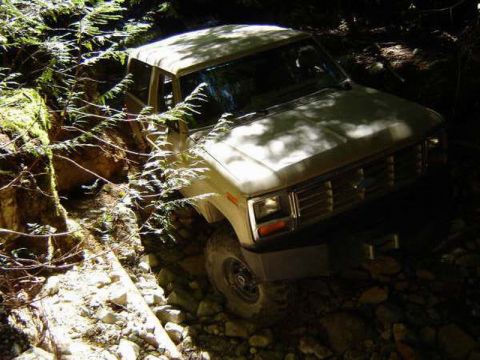 1985 Ford Bronco - A light-colored 1980s SUV is navigating a rocky, wooded trail, with dense foliage encroaching on the vehicle from the left. The front of th…