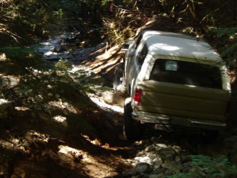1985 Ford Bronco - A tan and white Ford Bronco drives down a rocky, wooded trail. The rear of the SUV is visible as it navigates the rough terrain.