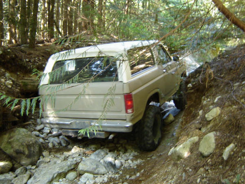 Tan 1980s Ford Bronco driving on a rocky forest trail.