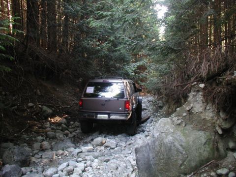 Brown SUV driving on a rocky trail in a forest.