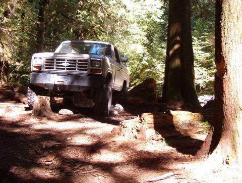 Lifted 1980s Ford Bronco on an off-road trail in a forest, with one tire on a tree stump.