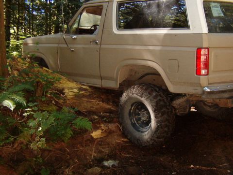 Tan 1980s Ford Bronco with large off-road tires on a forest path, resting on a fallen log.