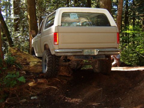 Rear view of a tan and white Ford Bronco driving over a fallen log on a dirt trail in a forest.