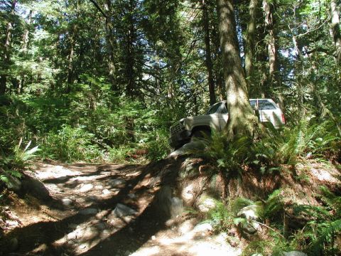 Light-colored SUV on a rocky forest trail.