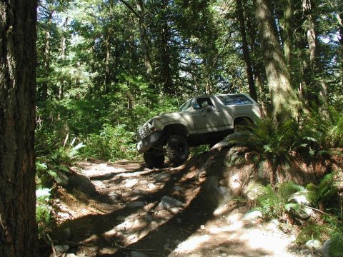 Tan Ford Bronco off-roading on a rocky trail in a forest.