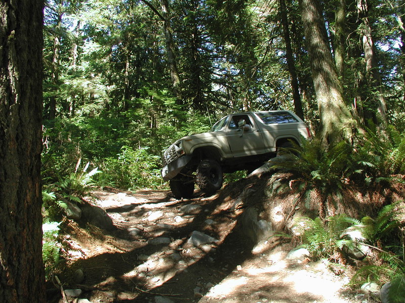 Tan Ford Bronco off-roading on a rocky trail in a forest.