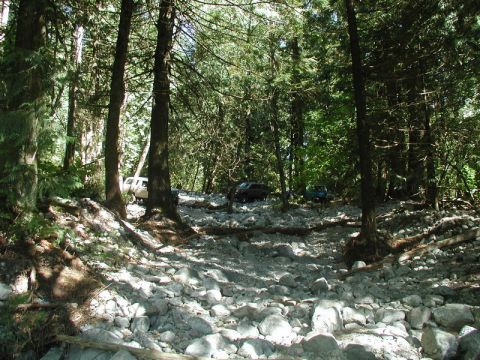 Off-road vehicles on a rocky trail in a forest.
