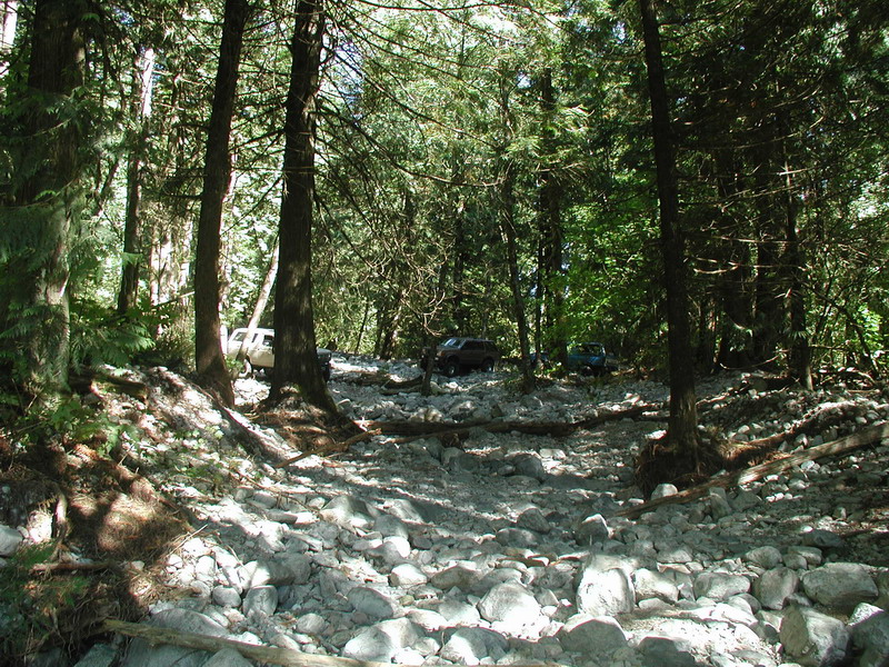 Off-road vehicles on a rocky trail in a forest.