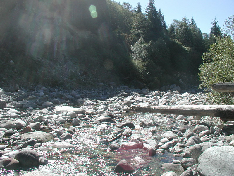 Looking South, down Norrish Creek.