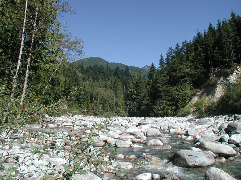 Looking North, up Norrish Creek.
