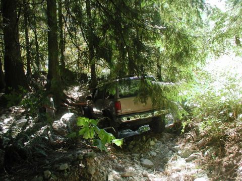 Tan SUV on a rocky, wooded trail.