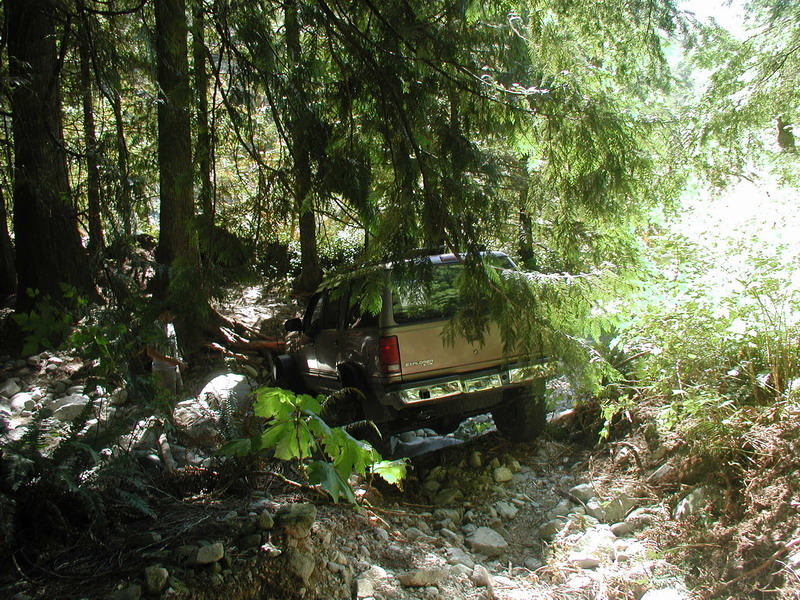 Tan SUV on a rocky, wooded trail.