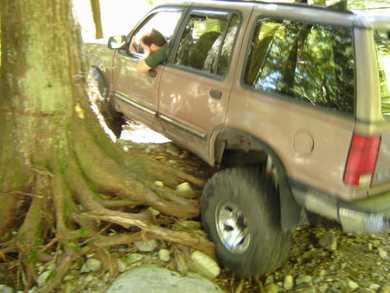 Tan SUV driving off-road near a large tree with exposed roots.