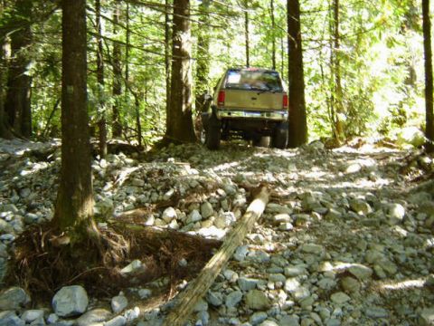 Tan Ford Bronco on a rocky forest trail, rear view.