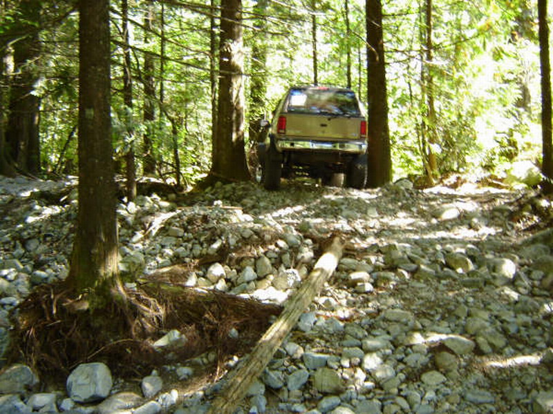Tan Ford Bronco on a rocky forest trail, rear view.