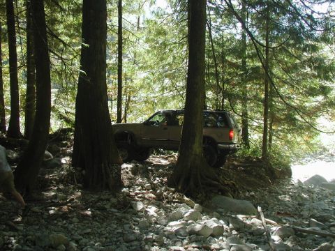 Tan SUV driving on a rocky trail through a forest.