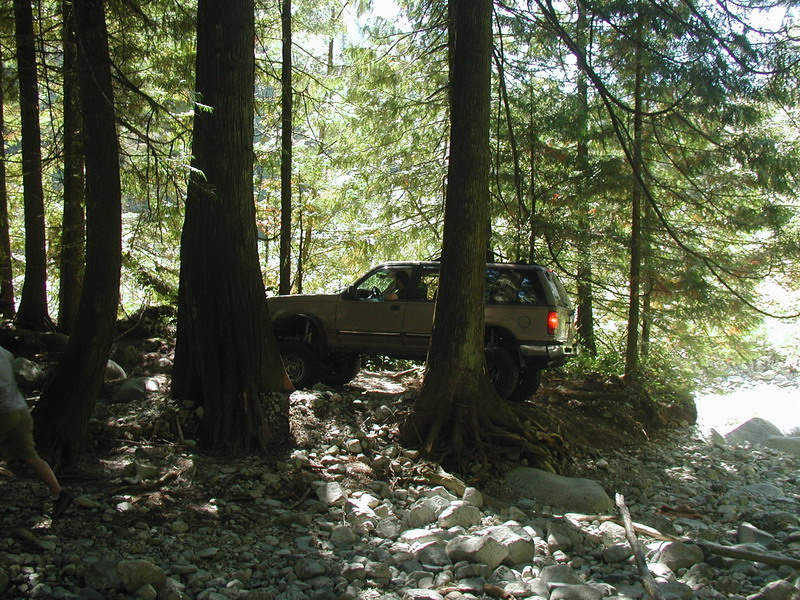 Tan SUV driving on a rocky trail through a forest.