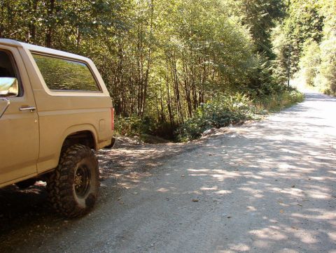 Tan 1980s Ford Bronco parked on a gravel road next to a forest, showing off-road tires.