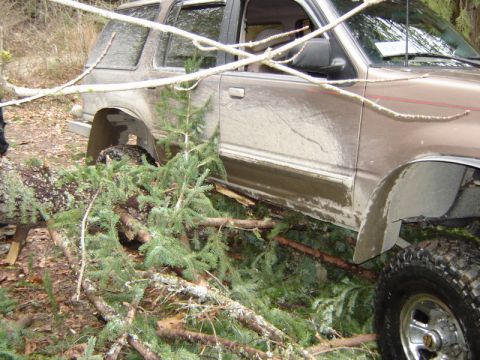 1985 Ford Bronco - A brown SUV is partially obscured by fallen branches and a large log. The vehicle appears to be off-road, with mud splattered on its side a…