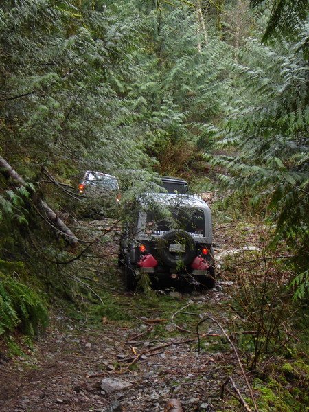 1985 Ford Bronco - At this point, Trevor and Indir were moving some logs, and Trevor pinched his finger between two of them. That pinch cut his finger pretty…
