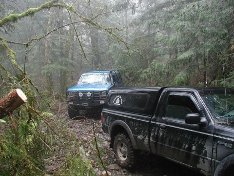 1985 Ford Bronco - Two off-road vehicles are parked on a rocky, wooded trail in foggy conditions. A blue SUV is in the background, and a black pickup truck is…