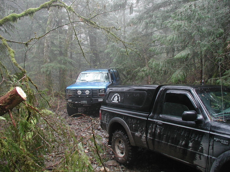 Blue SUV and black pickup truck on a foggy, wooded trail.