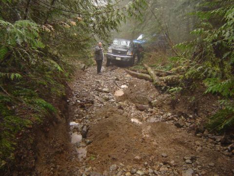 1985 Ford Bronco - Two off-road vehicles are stuck on a muddy and rocky trail in a dense forest. A person in a plaid shirt stands next to the front vehicle, l…