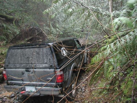 1985 Ford Bronco - A black pickup truck with a camper shell navigates a narrow, muddy, wooded trail. The truck is positioned at an angle, with its rear visibl…