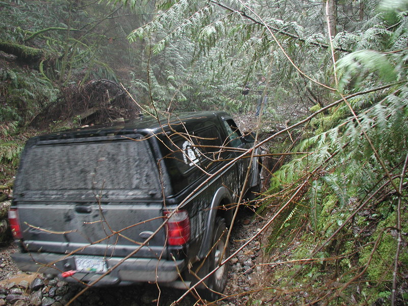 Black pickup truck with camper shell on a muddy, wooded trail.