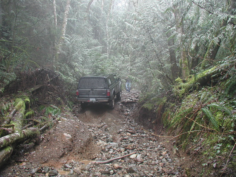 Dark pickup truck with camper shell on a muddy, rocky forest trail.