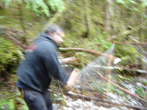 1985 Ford Bronco - A person in a dark hoodie is blurred in motion in a forest setting with trees and fallen branches.