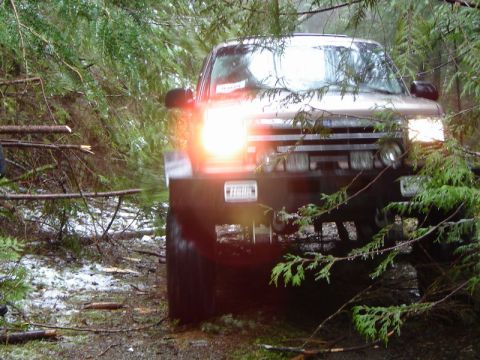1985 Ford Bronco - A tan SUV is driving through a dense forest with fallen trees and branches blocking the path. The vehicle's headlights are on, illuminating…