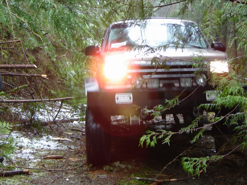 Tan SUV driving through a forest with fallen trees and branches.