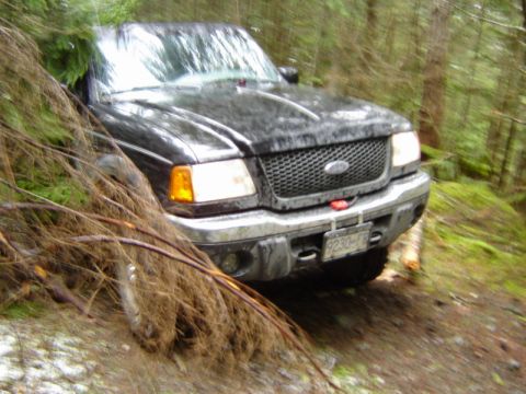 1985 Ford Bronco - A black Ford pickup truck is partially obscured by fallen branches as it drives on a dirt path through a forest.