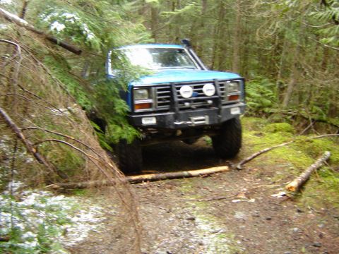 1985 Ford Bronco - A blue Ford Bronco is partially obscured by fallen trees and branches on a wooded trail. The vehicle is equipped with a brush guard and aux…