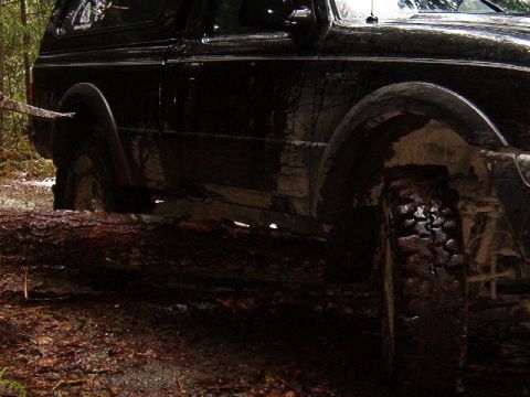 1985 Ford Bronco - The side of a black pickup truck, covered in mud, is shown with its rear tire resting on a fallen log in a wooded area.