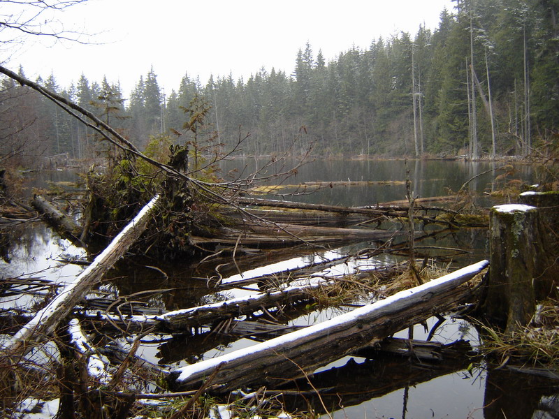 Secret Lake.