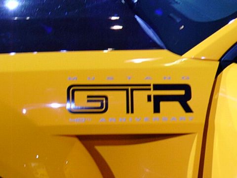 2005 Ford Mustang - GT-R front fender logo