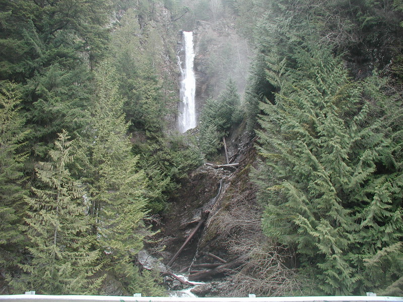 Waterfall in a forest