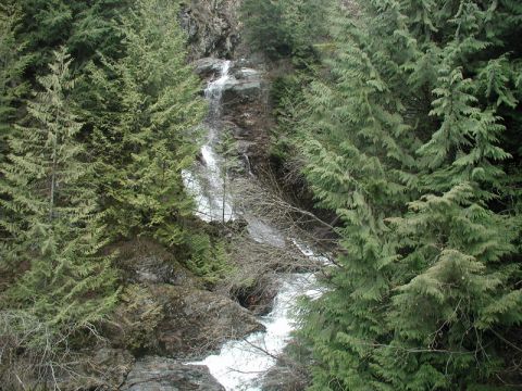 1985 Ford Bronco - A waterfall cascades down a rocky slope surrounded by dense evergreen trees.