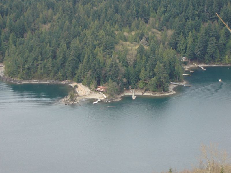 Wooded coastline with houses and docks on a body of water.