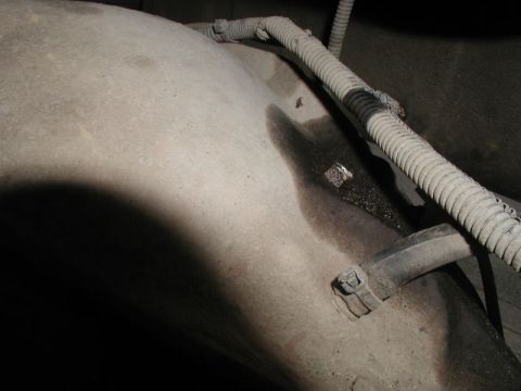1985 Ford Bronco - A dark, oily fluid leak is visible on the underside of a vehicle's fuel tank, near a corrugated conduit and a hose clamp.